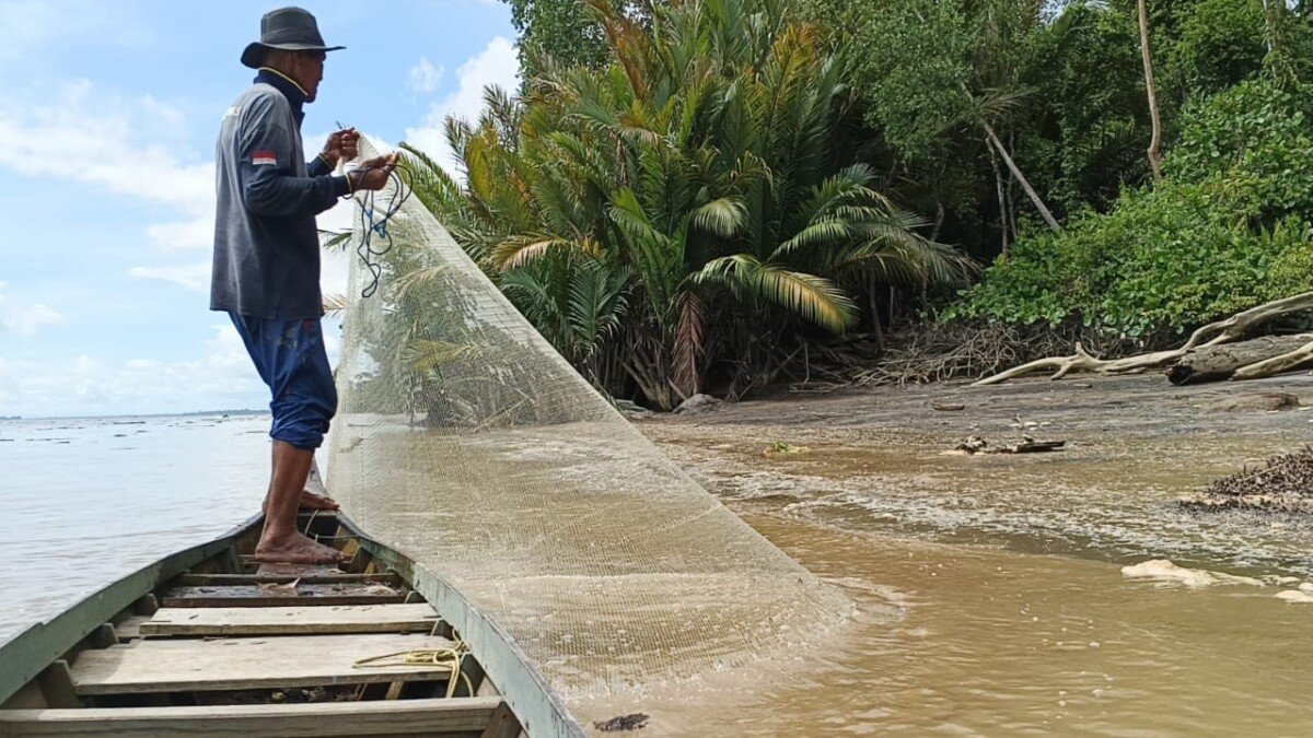 Sabrun, nelayan tradisional Desa Menjelutung, menjala udang dari perahu di perairan pesisir berlatar mangrove.